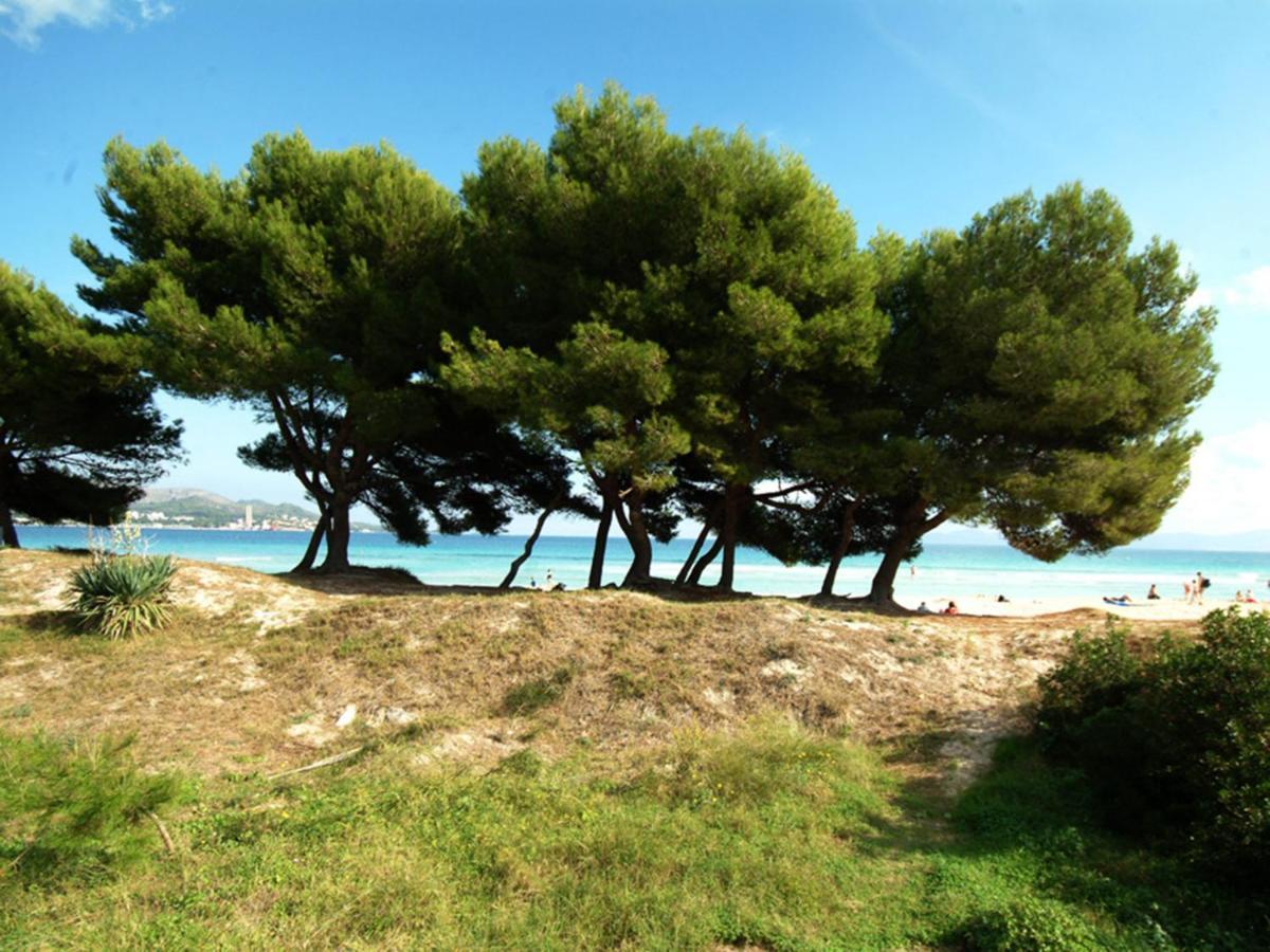 Lägenhet Countess Attic 2-3, Sun Of The Bay Vidalba 3, At Alcudia (Mallorca)